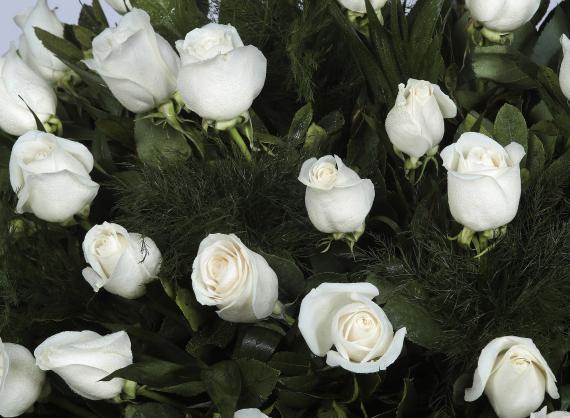 abanico de 40 rosas blancas detalle 2