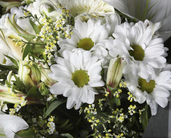 Bouquet blanco de flor silvestre 3
