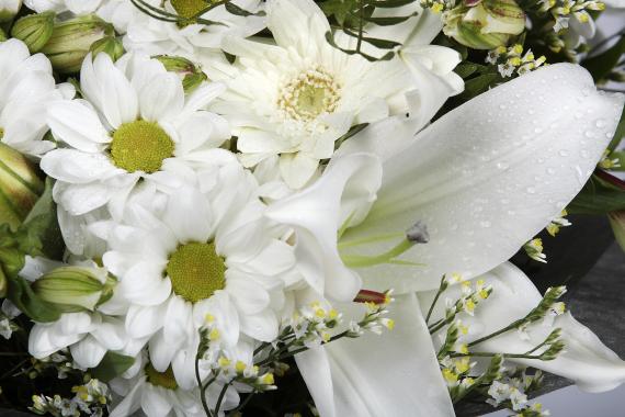Bouquet blanco de flor silvestre 4