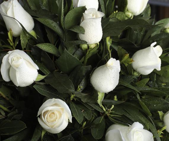 Centro de 20 rosas blancas 1