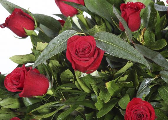 Centro de 20 rosas rojas 1