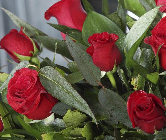 Centro de 20 rosas rojas 2