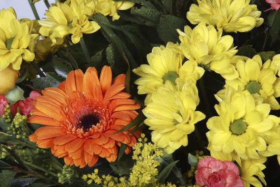 Centro ámbar de flor silvestre base 2