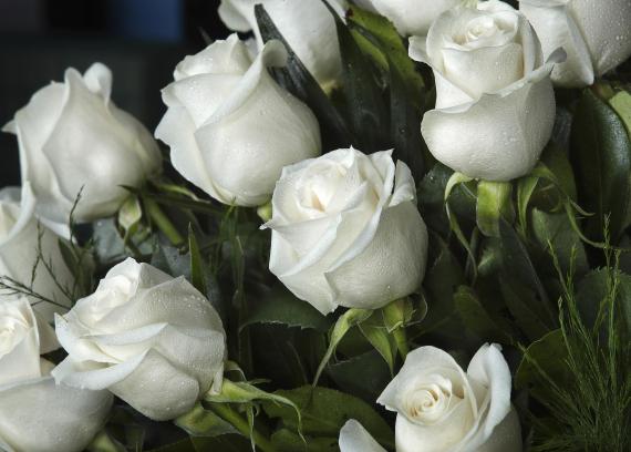 Lágrima de 60 rosas blancas 3