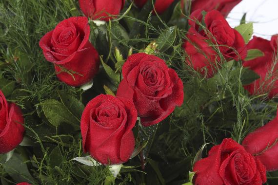 Lágrima de 60 rosas rojas 2