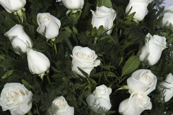 Medallón de rosas blancas 1