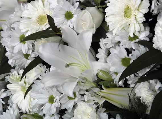 Medallón de flor variada blanca 2