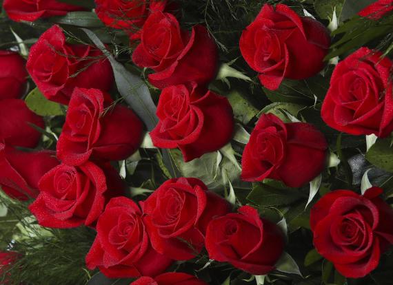 Medallón de rosas rojas 1