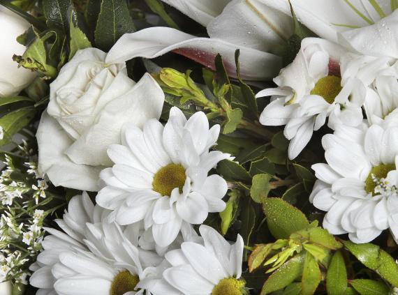 Ramo blanco de flor silvestre 3