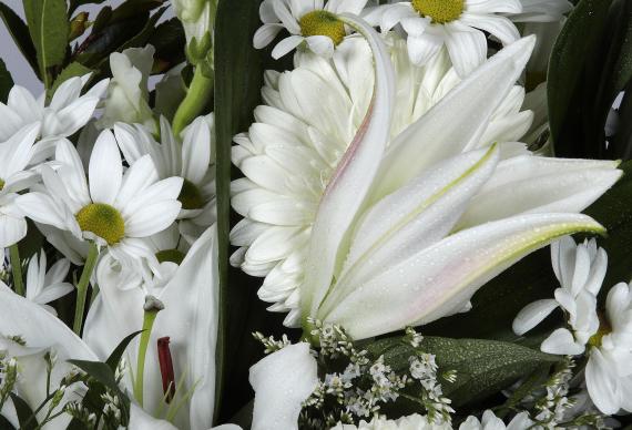 Ramo blanco de flor silvestre 4