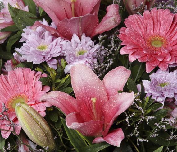 Ramo rosado de flor silvestre 3