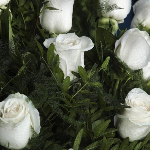 La calidez de las pequeñas cosas. Este sencillo ramo de 5 rosas blancas es un detalle perfecto para mostrar nuestro apoyo en momentos difíciles. Confeccionado con rosas de calidad y el cuidado de nuestros floristas.